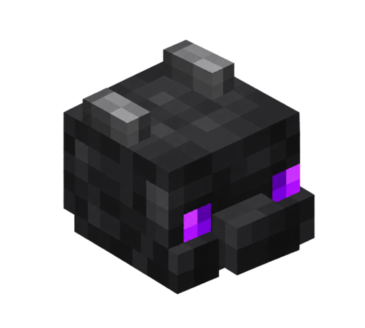 Dragon Pet