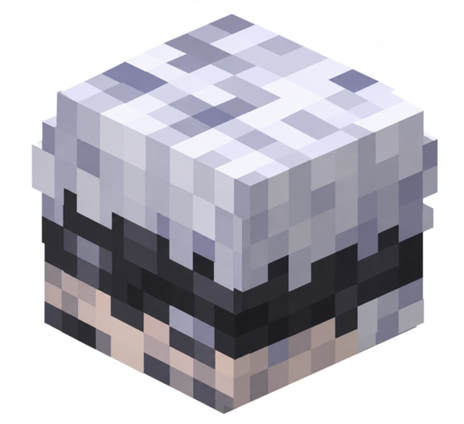 Gojo Pet